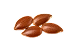 Flax Seeds