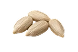 Sunflower Seeds